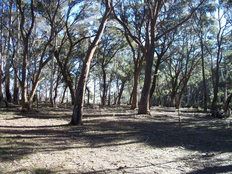 214 Donald Road, Clarence NSW 2790