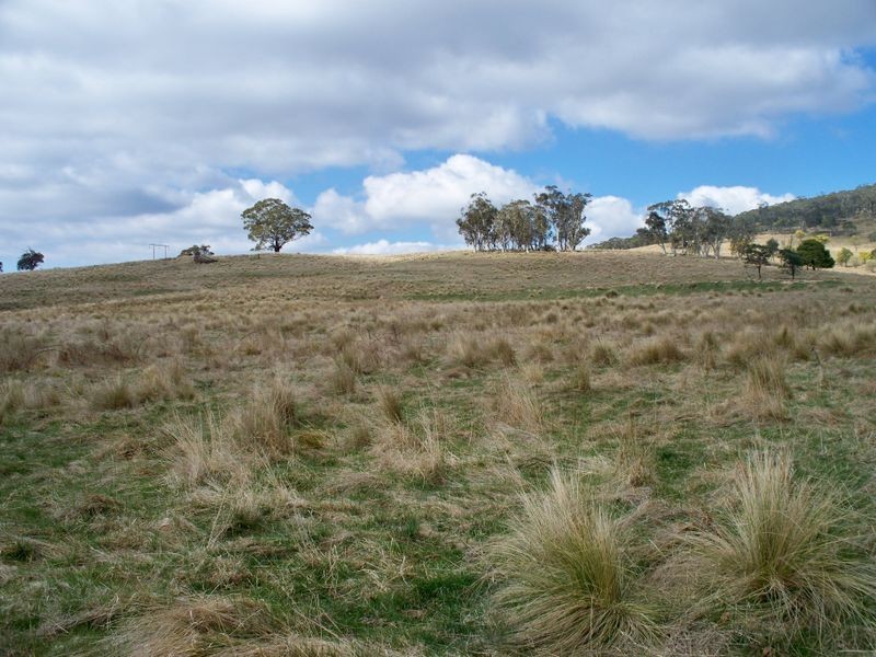 147 Old Western Highway, Mount Lambie NSW 2790