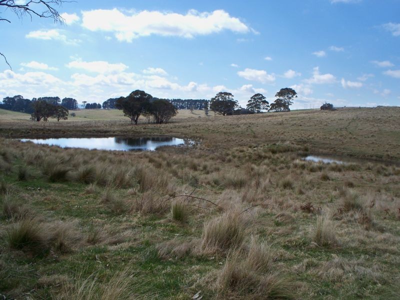 147 Old Western Highway, Mount Lambie NSW 2790