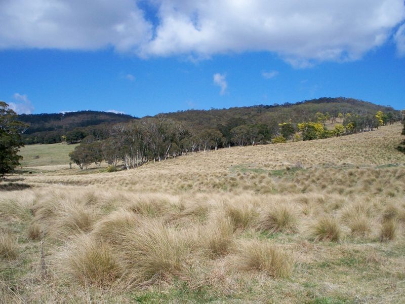 147 Old Western Highway, Mount Lambie NSW 2790