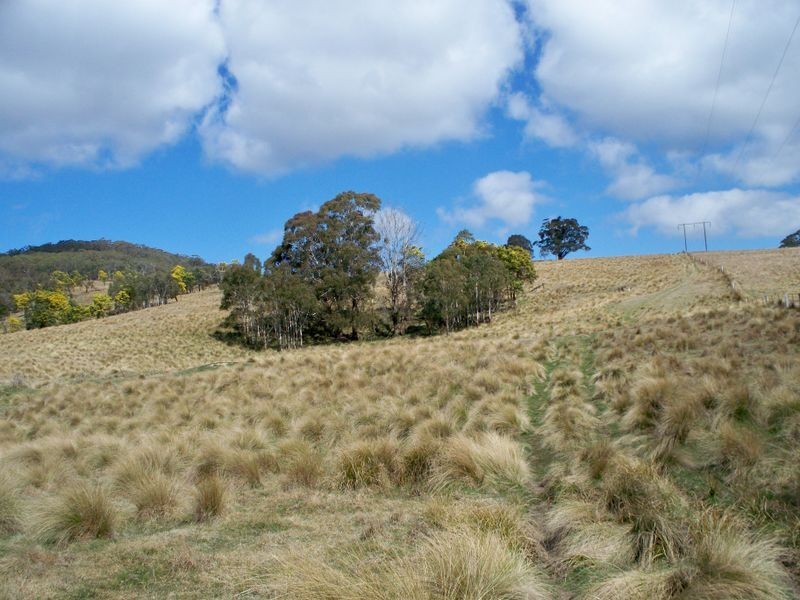 147 Old Western Highway, Mount Lambie NSW 2790