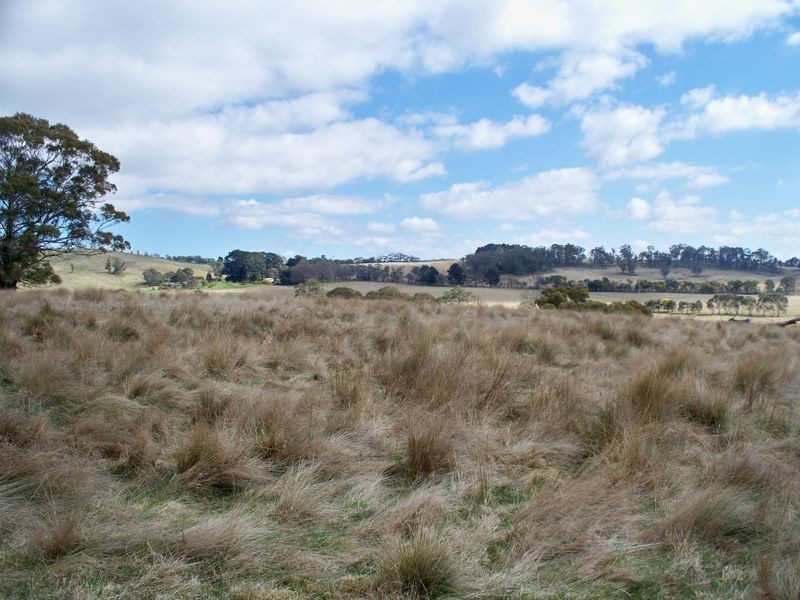 147 Old Western Highway, Mount Lambie NSW 2790