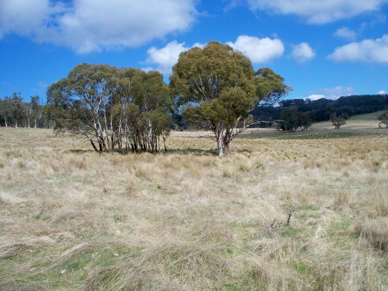 147 Old Western Highway, Mount Lambie NSW 2790