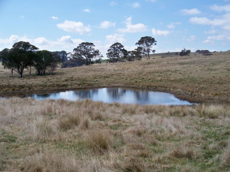 147 Old Western Highway, Mount Lambie NSW 2790