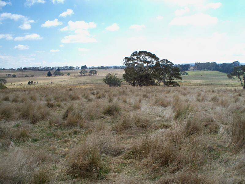 147 Old Western Highway, Mount Lambie NSW 2790