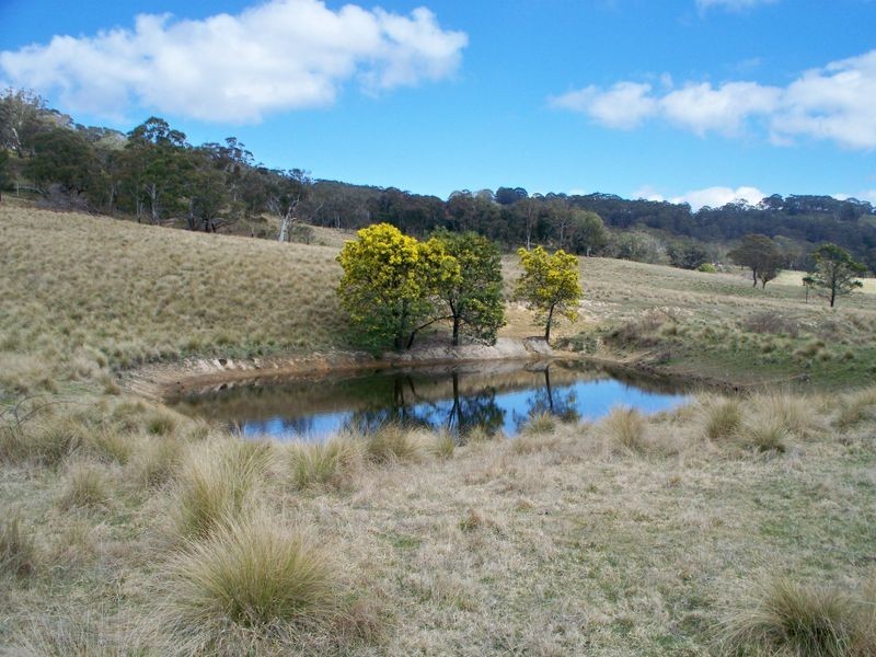 147 Old Western Highway, Mount Lambie NSW 2790