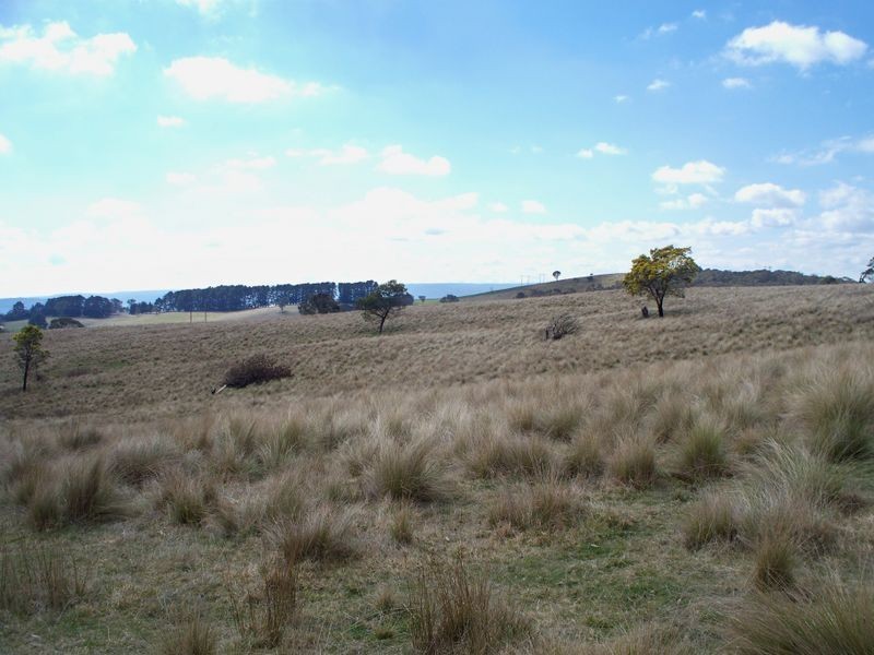 147 Old Western Highway, Mount Lambie NSW 2790