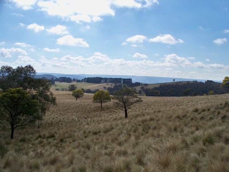 147 Old Western Highway, Mount Lambie NSW 2790