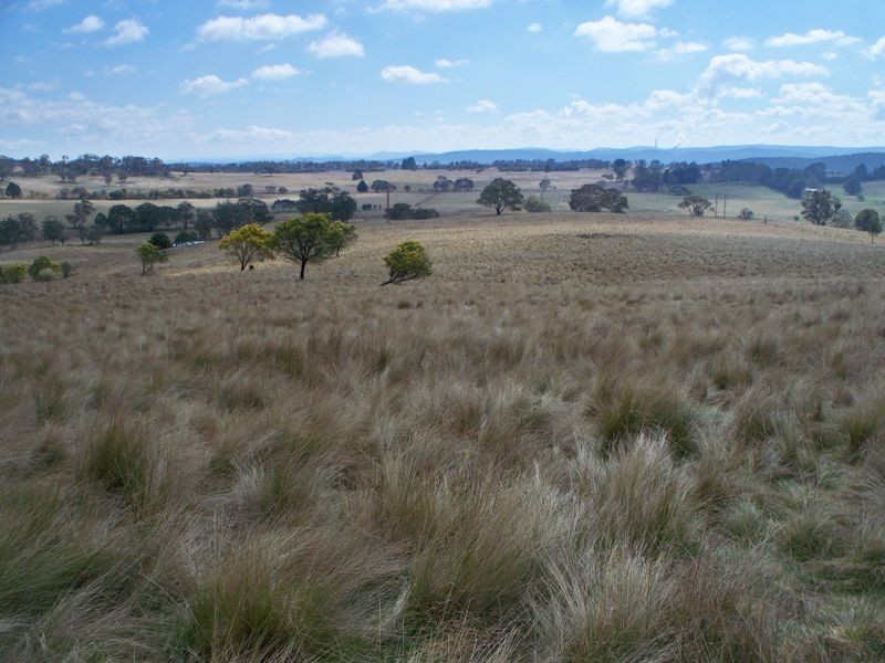 147 Old Western Highway, Mount Lambie NSW 2790