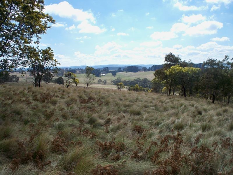 147 Old Western Highway, Mount Lambie NSW 2790