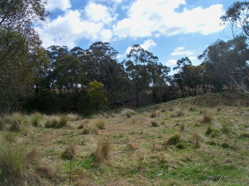 147 Old Western Highway, Mount Lambie NSW 2790