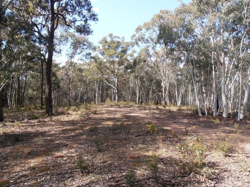 Lot 1 Wolgan Valley Road, Ben Bullen NSW 2790