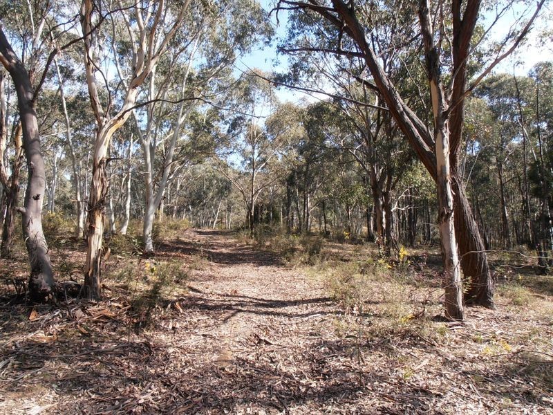 Lot 1 Wolgan Valley Road, Ben Bullen NSW 2790