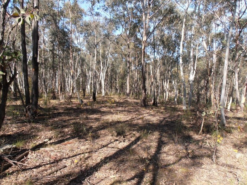 Lot 1 Wolgan Valley Road, Ben Bullen NSW 2790