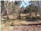 Lot 1 Wolgan Valley Road, Ben Bullen NSW 2790