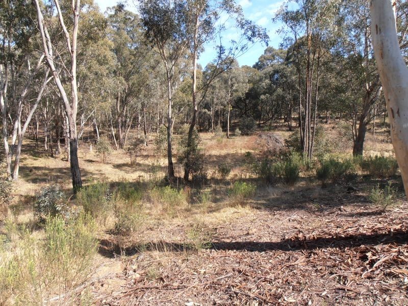 Lot 1 Wolgan Valley Road, Ben Bullen NSW 2790