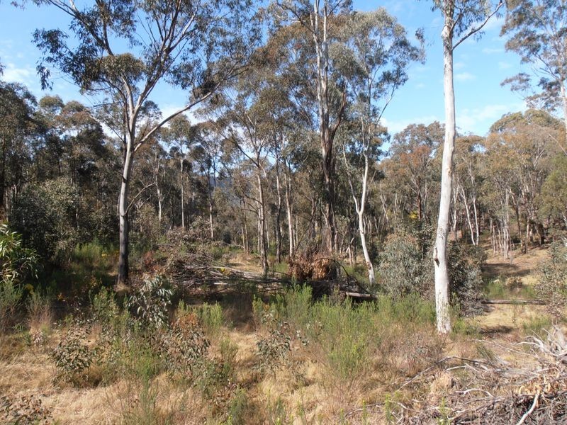 Lot 1 Wolgan Valley Road, Ben Bullen NSW 2790