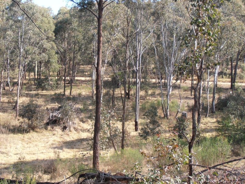 Lot 1 Wolgan Valley Road, Ben Bullen NSW 2790