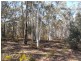 Lot 1 Wolgan Valley Road, Ben Bullen NSW 2790