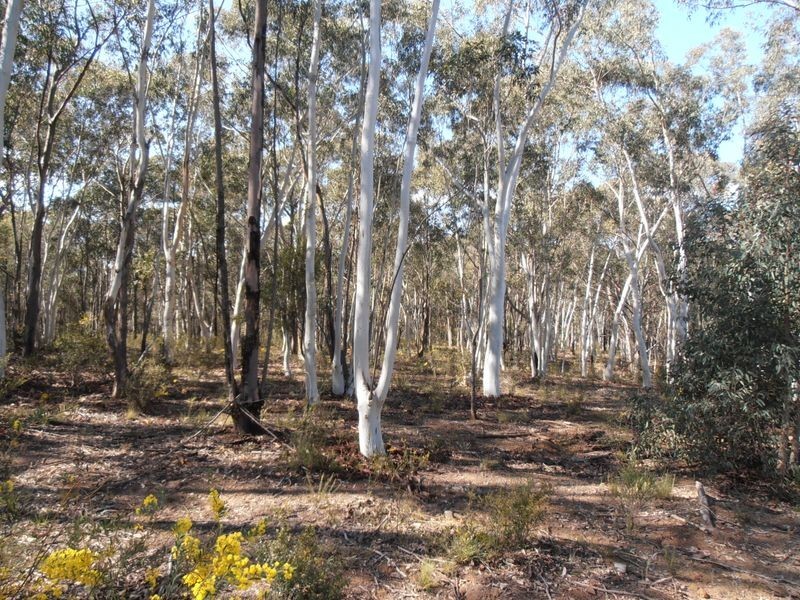 Lot 1 Wolgan Valley Road, Ben Bullen NSW 2790