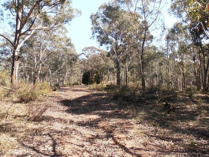 Lot 1 Wolgan Valley Road, Ben Bullen NSW 2790