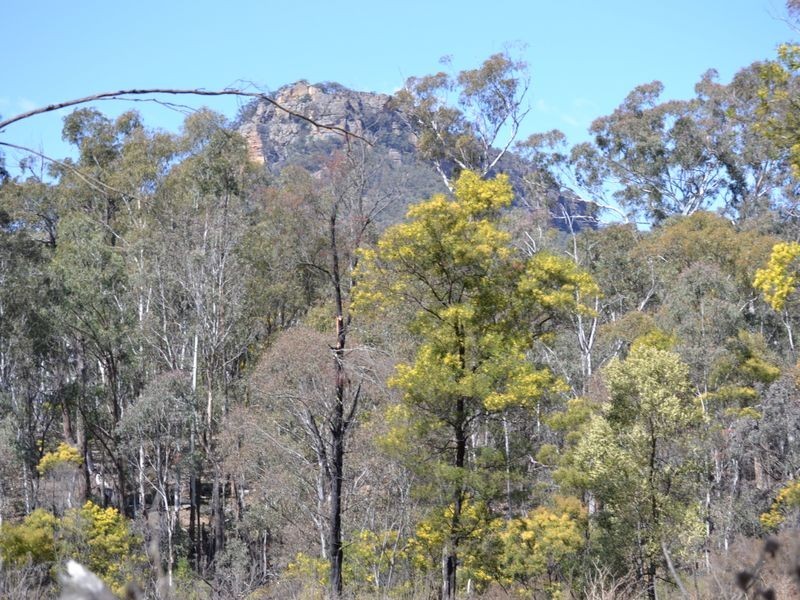 Lot 2 Wolgan Valley Road, Ben Bullen NSW 2790