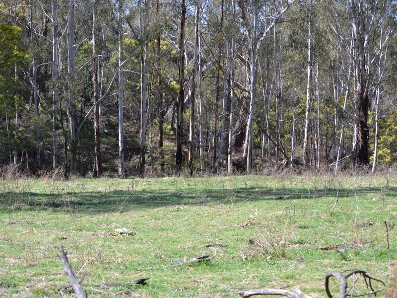 Lot 2 Wolgan Valley Road, Ben Bullen NSW 2790