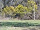 Lot 2 Wolgan Valley Road, Ben Bullen NSW 2790