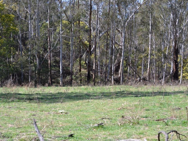 Lot 2 Wolgan Valley Road, Ben Bullen NSW 2790