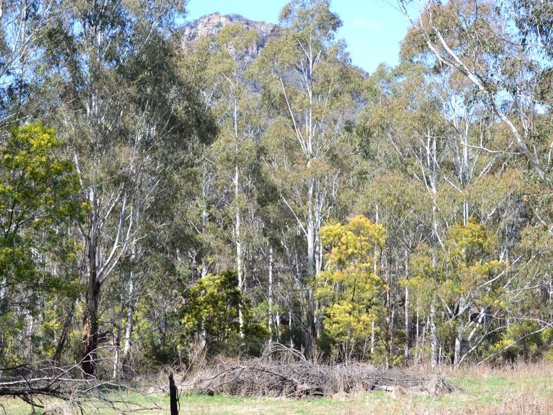 Lot 2 Wolgan Valley Road, Ben Bullen NSW 2790
