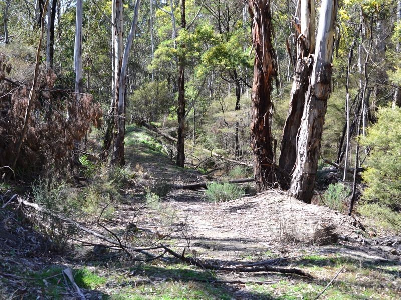 Lot 2 Wolgan Valley Road, Ben Bullen NSW 2790