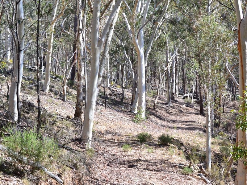 Lot 2 Wolgan Valley Road, Ben Bullen NSW 2790