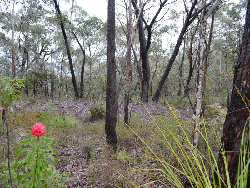 Lot 62 Valley View Road, Dargan NSW 2786