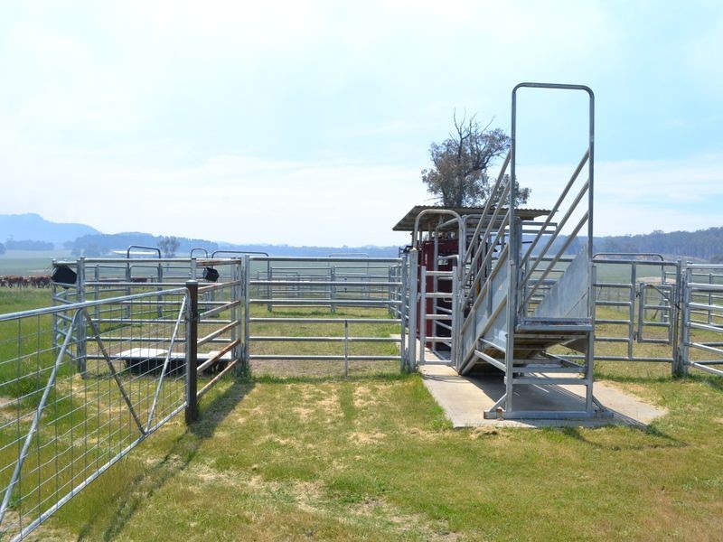 3600 Castlereagh Highway, Ben Bullen NSW 2790