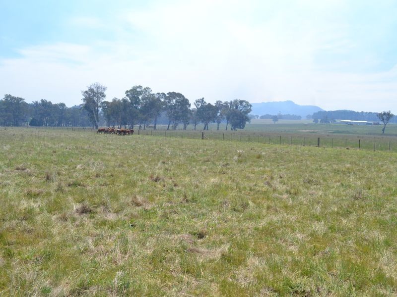 3600 Castlereagh Highway, Ben Bullen NSW 2790