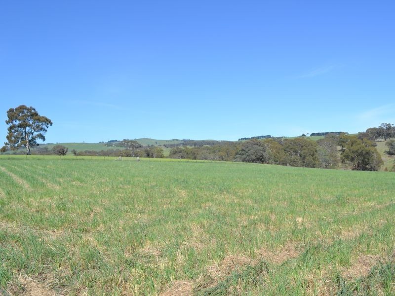 Lot 30 George Parade, Portland NSW 2847