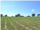 Lot 30 George Parade, Portland NSW 2847
