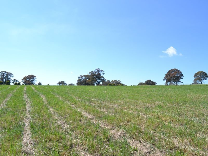 Lot 30 George Parade, Portland NSW 2847