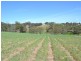 Lot 30 George Parade, Portland NSW 2847