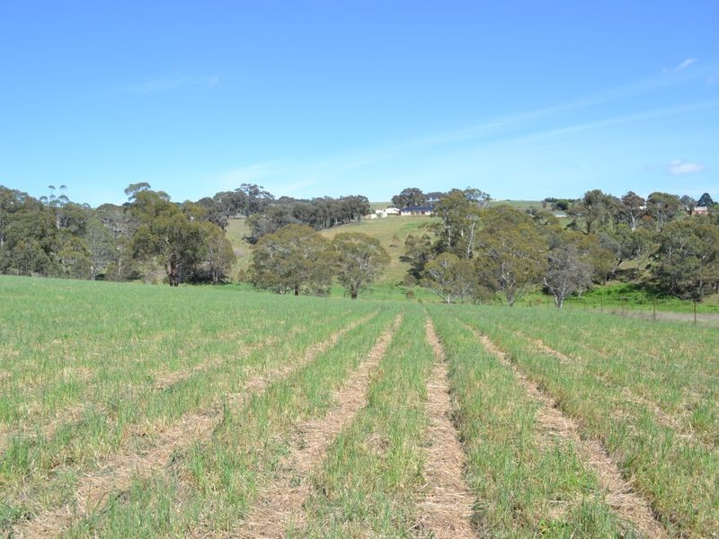 Lot 30 George Parade, Portland NSW 2847