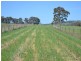 Lot 30 George Parade, Portland NSW 2847