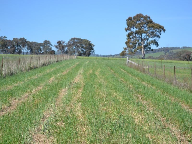 Lot 30 George Parade, Portland NSW 2847