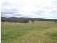 Lot 4 Wattlemount Road, Portland NSW 2847