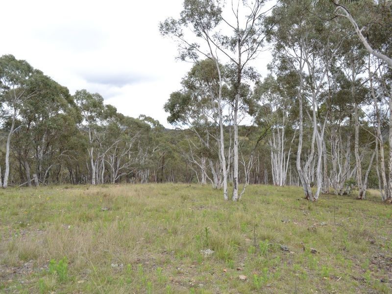 Lot 4 Wattlemount Road, Portland NSW 2847