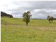 Lot 4 Wattlemount Road, Portland NSW 2847