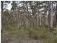 Lot 68 Ray Crescent, Clarence NSW 2790