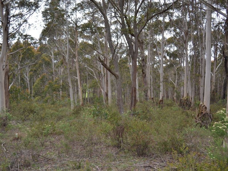 Lot 68 Ray Crescent, Clarence NSW 2790