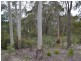 Lot 68 Ray Crescent, Clarence NSW 2790