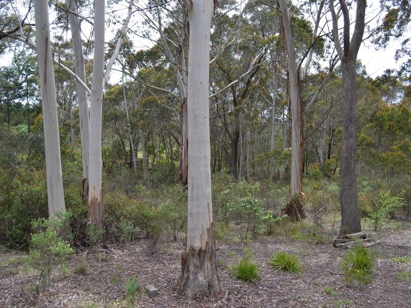 Lot 68 Ray Crescent, Clarence NSW 2790