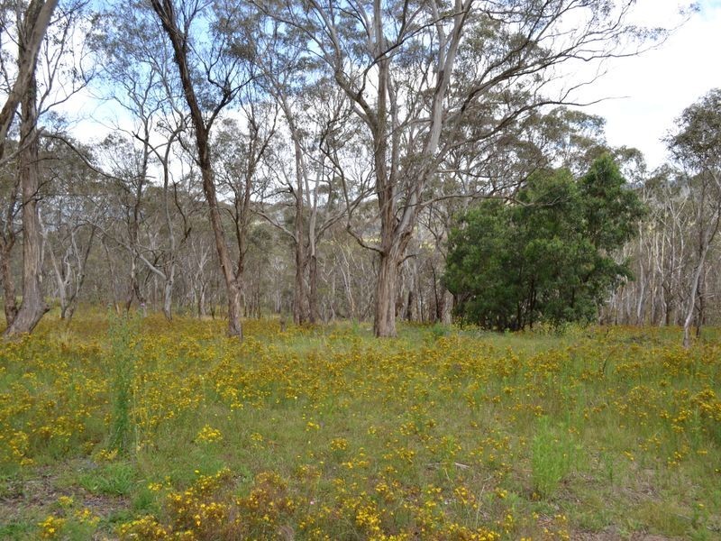 Lot 400 Hume Street, Hartley NSW 2790